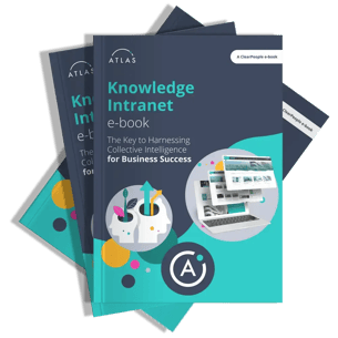 3DCOVERS-Knowledge-Intranet-ebook-2024