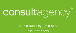 Consultagency2