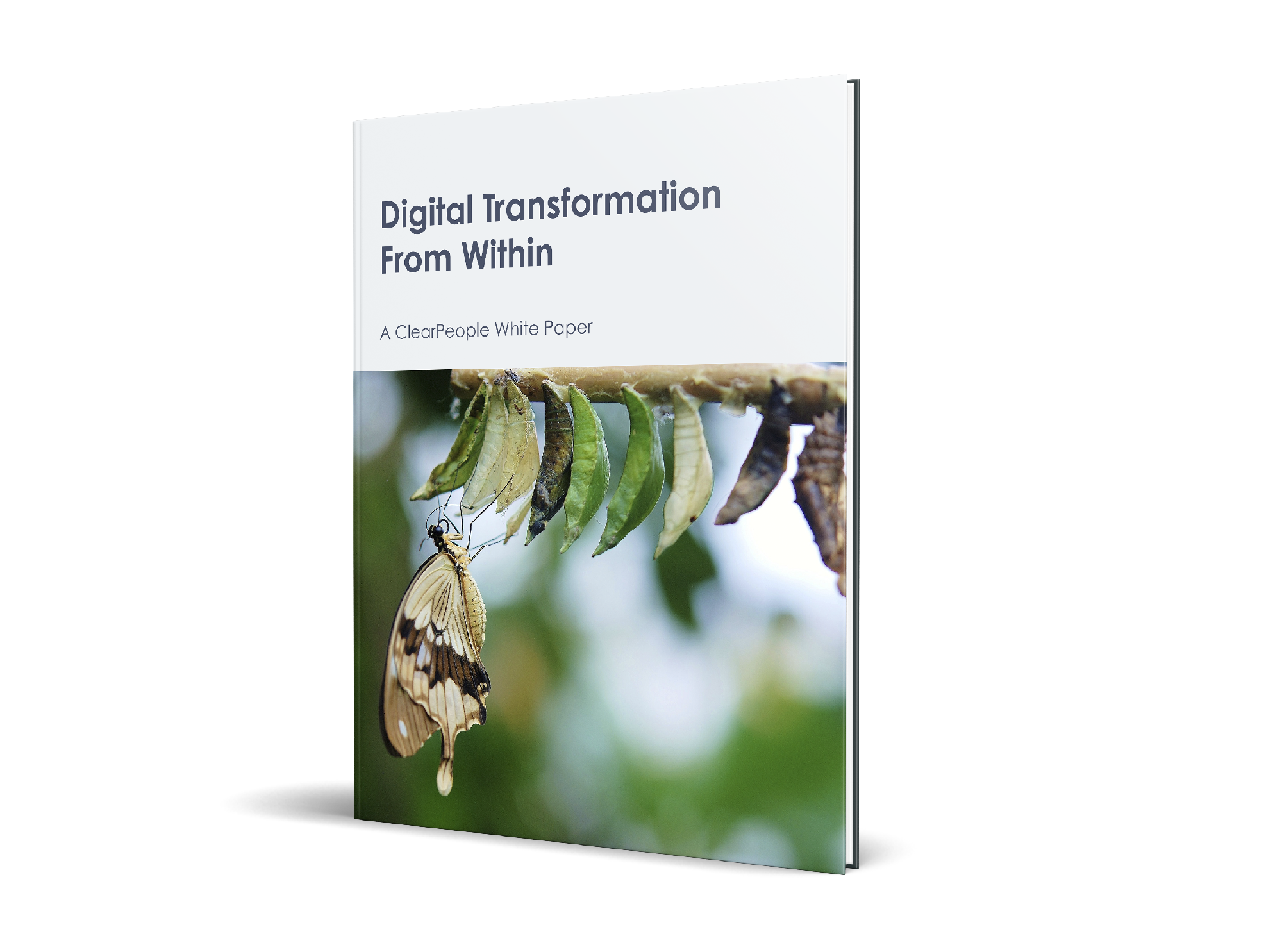 ClearPeople White Paper Accelerating digital transformation from within