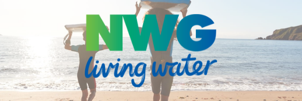 NWG logo and background Atlas Newsletter banner