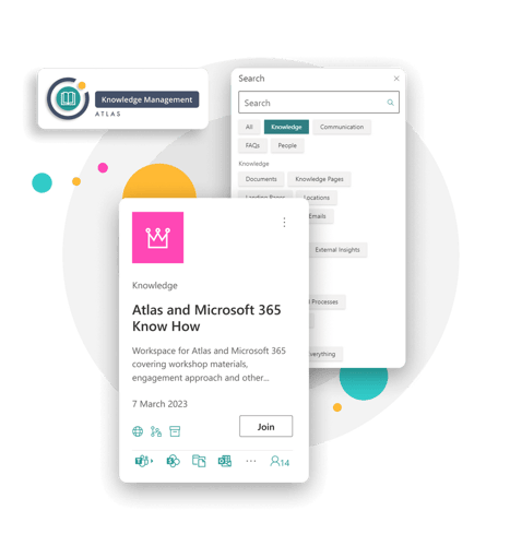 Knowledge feature snippets