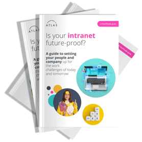 Intranet-guide-3D-cover 1