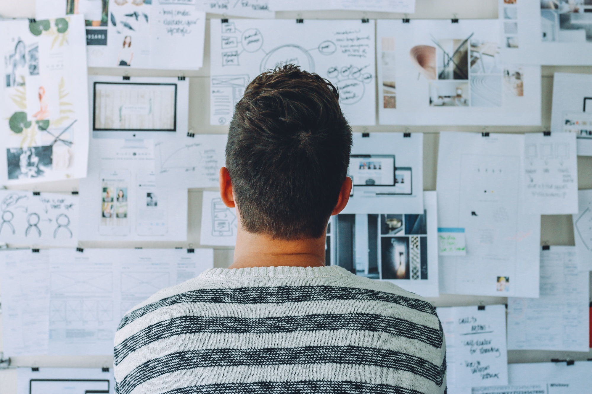 Person looking at papers pinned to a wall