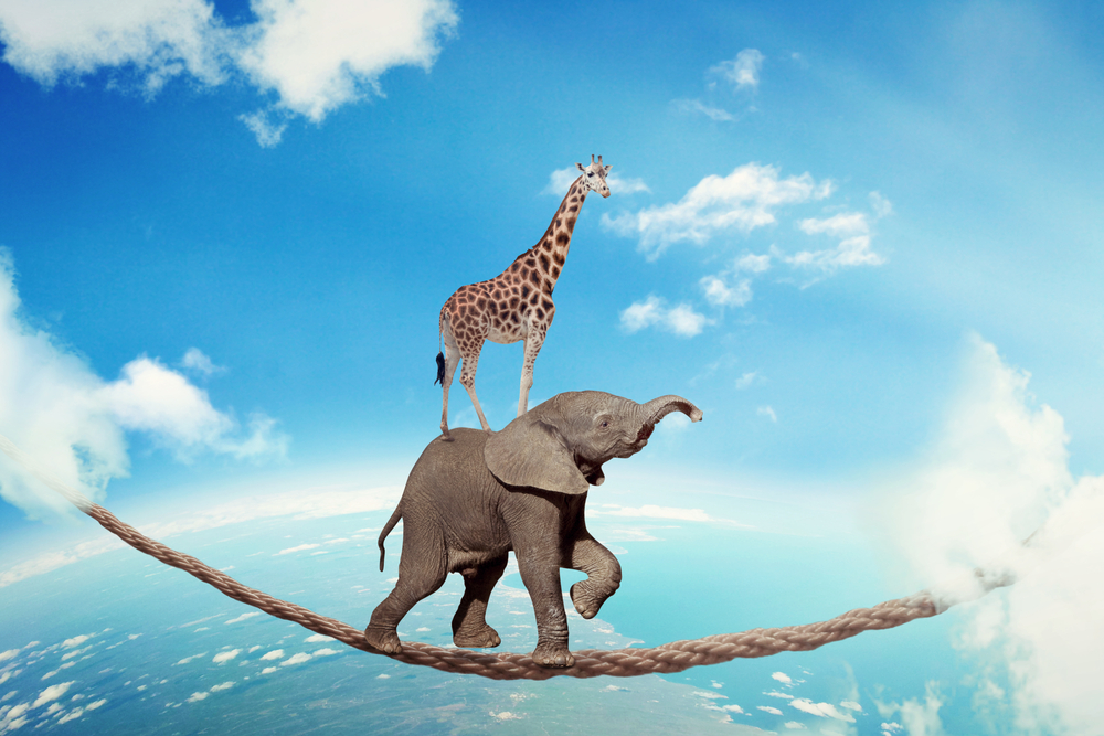 Elephant with giraffe walking on dangerous rope high in sky symbol balance overcoming fear for goal success.