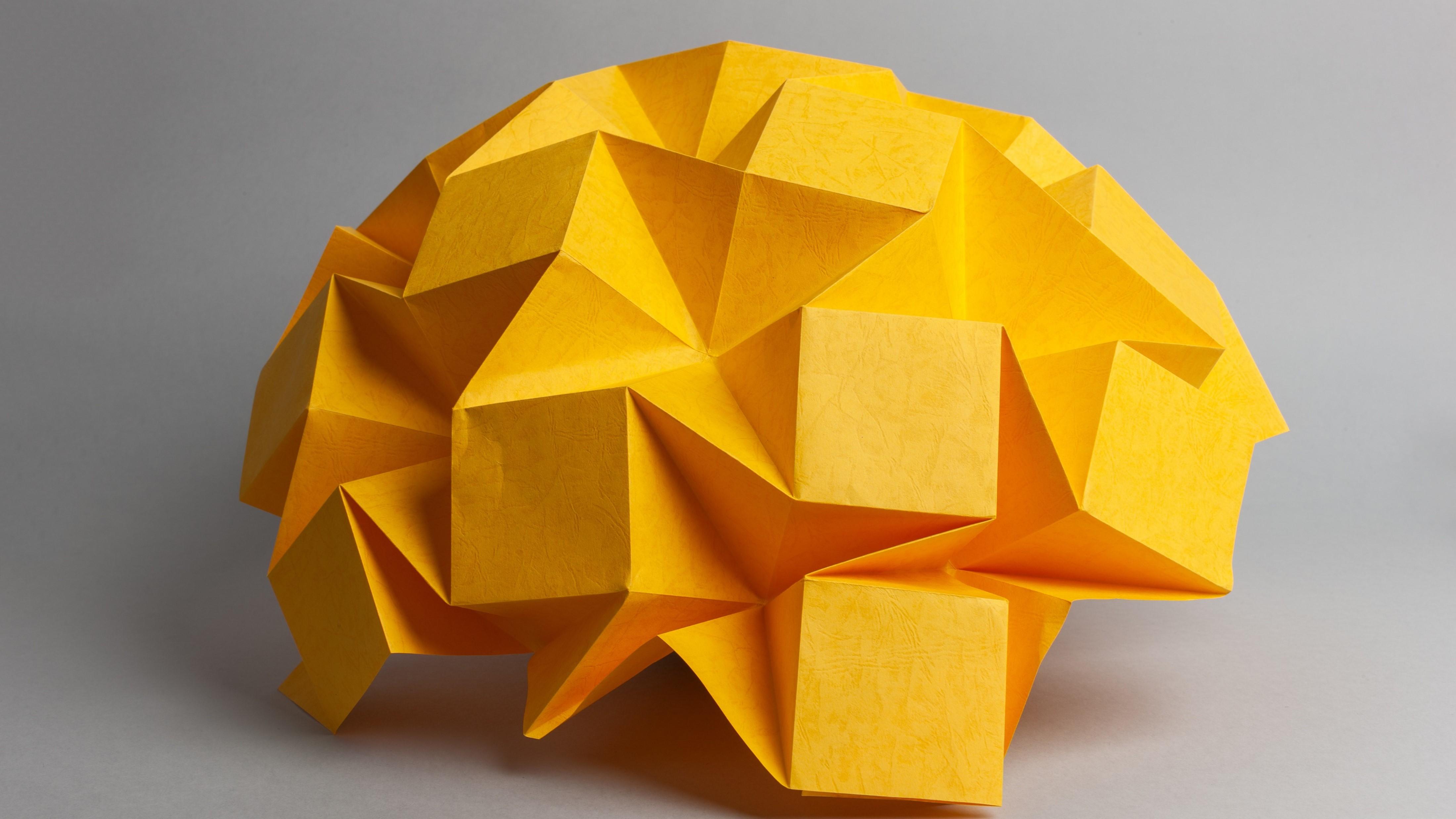 Yellow paper brain 